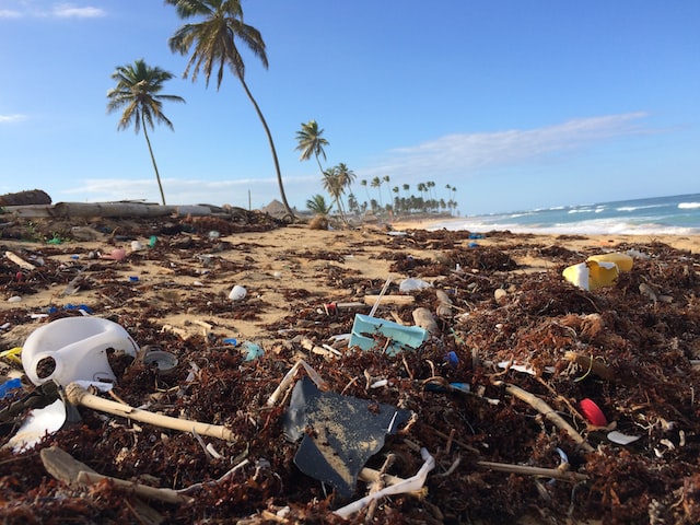 Wie Upcycling Plastik unsere Ozeane retten kann