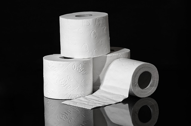 Plastikfreies Toilettenpapier