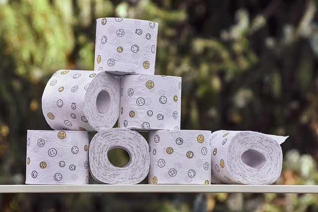 Plastikfreies Toilettenpapier